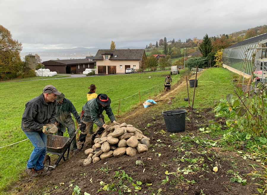 Steinhaufen und Wiesenbord Floralisa  Foto: Ursula Herzog