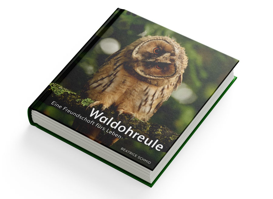 Titelseite des Buches  Foto: Beatrice Schmid