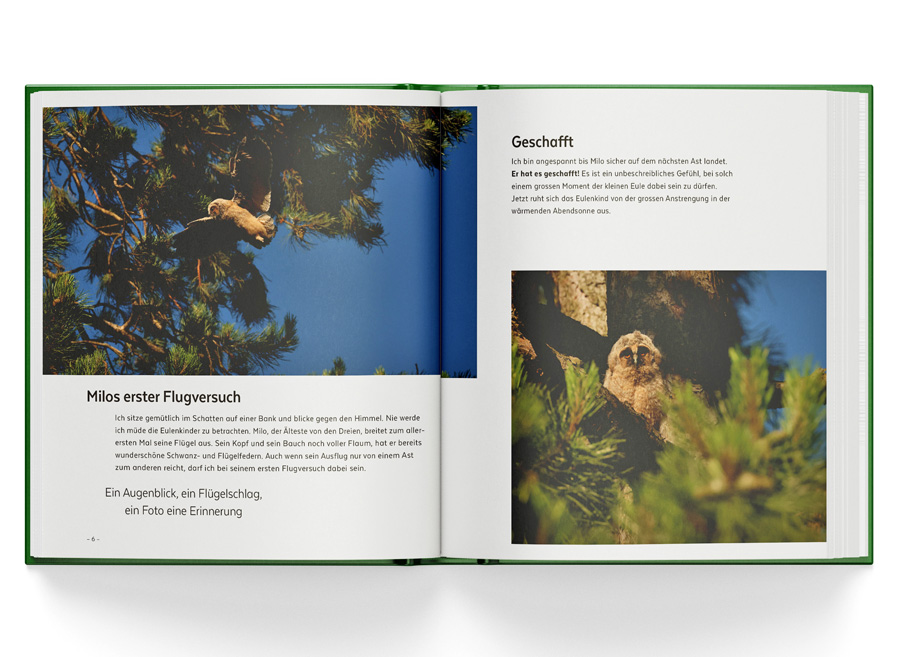 Inhaltseiten mit Jungeulen  Foto: Beatrice Schmid