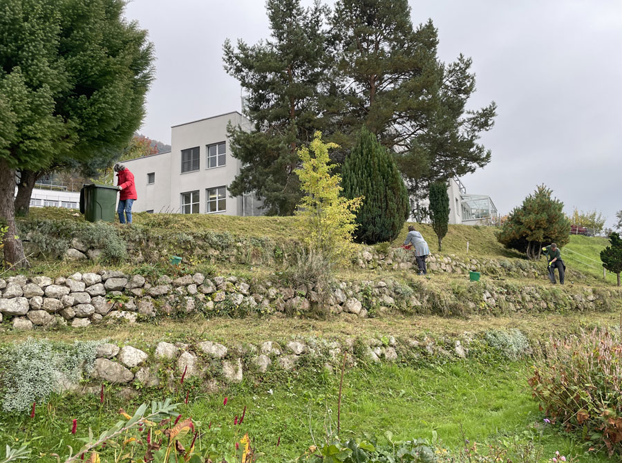 Pflegemassnahmen bei Floralisa  Foto: Tanja Rose