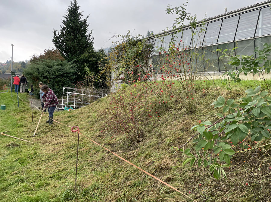 Pflegemassnahmen bei Floralisa  Foto: Tanja Rose