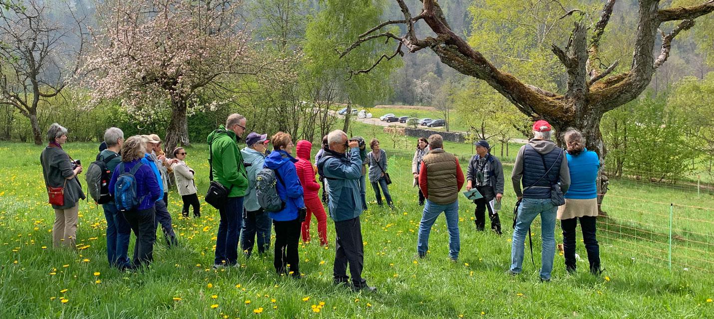 Hochstammtag 2022 auf dem Chripfelihof