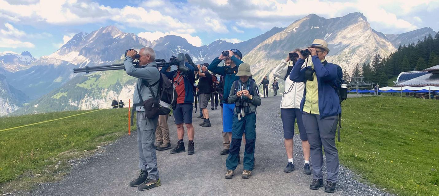 Bei bestem Wetter liessen sich allerlei Vögel beobachten