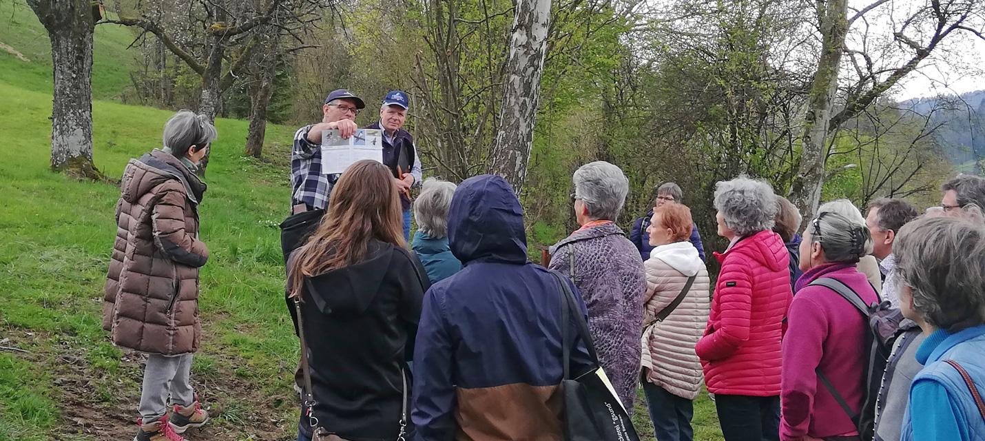 Hochstammtag auf dem Chripfelihof