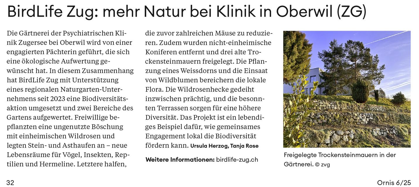 Birdelife Schweiz – Ornis 6/25