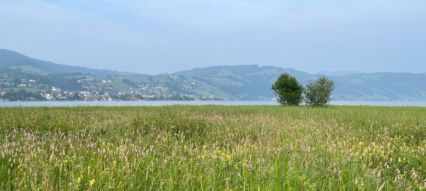 Das Gebiet Riedern in Unterägeri am Ägerisee