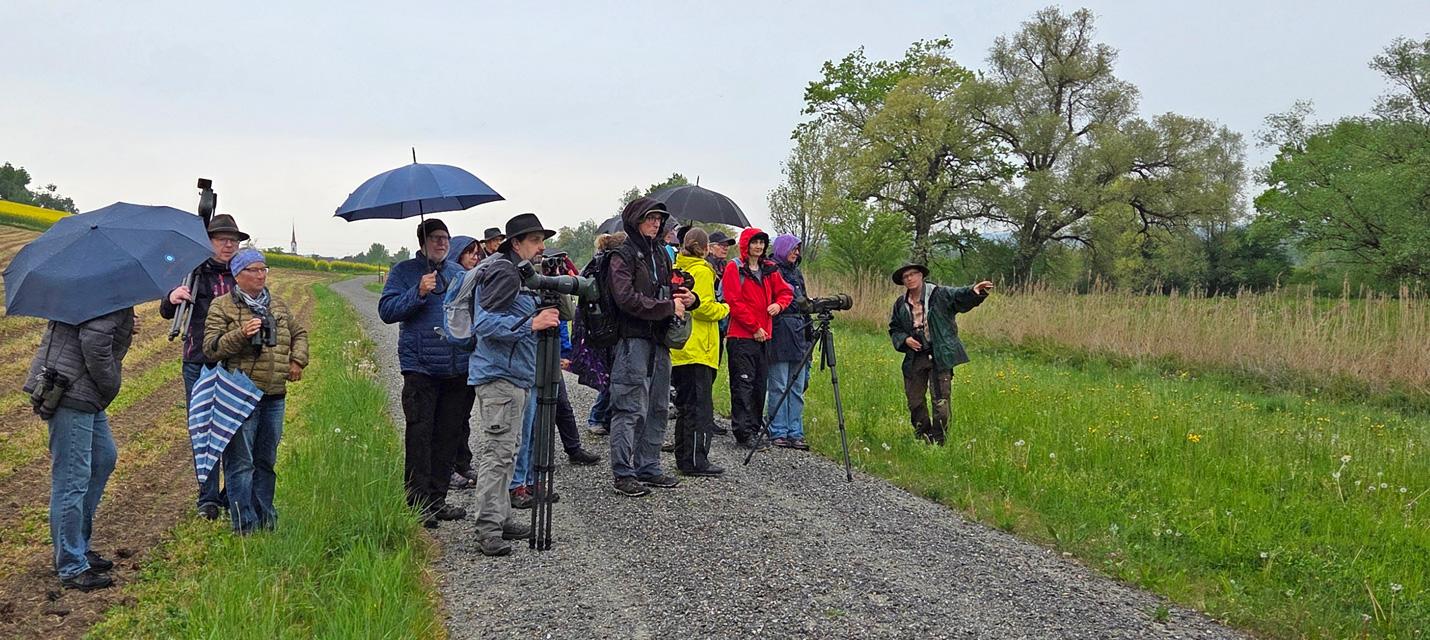 Abendexkursion Reussegg, AG