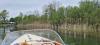 Kormoranzählung am westlichen Zugersee-Ufer